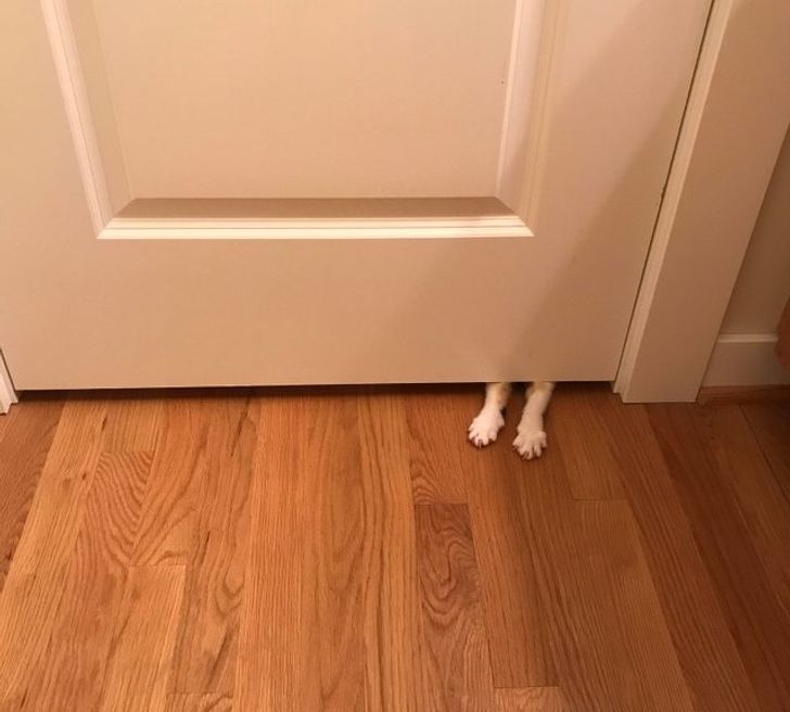 d072d1576db8c2ec618d7c18af