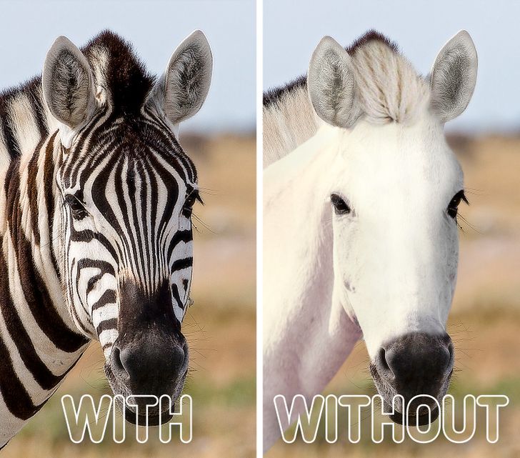 d078cc532f8539934c5d590594