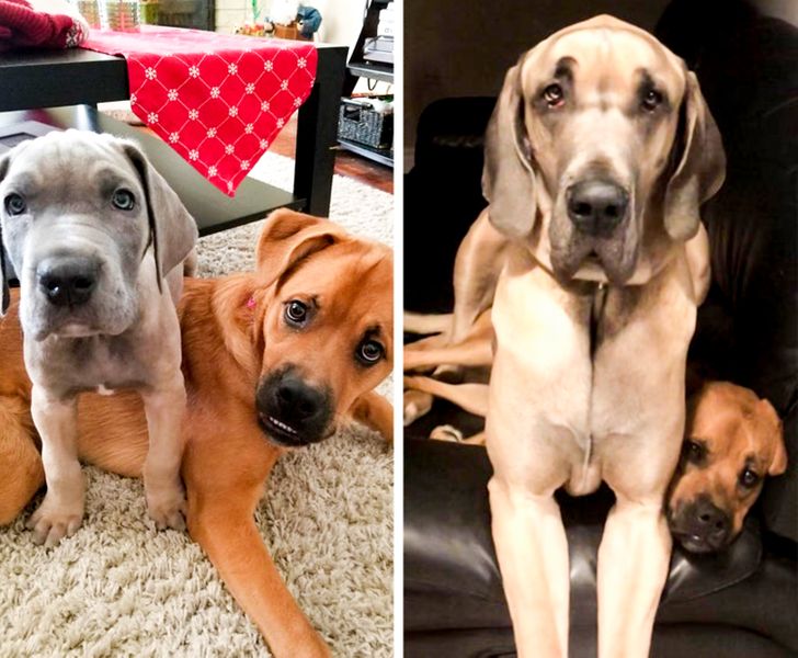 d07af35bdc8a8048d35856c6e8