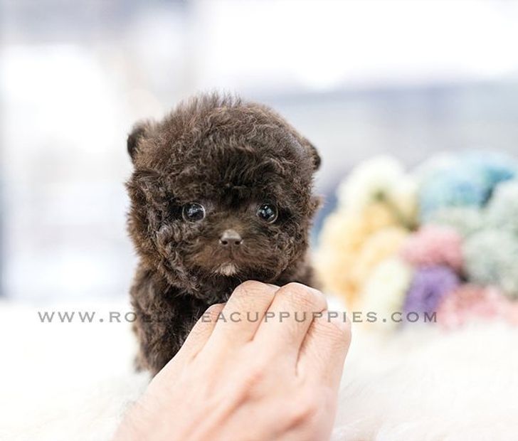 d0841c596097ccf57fa496e221