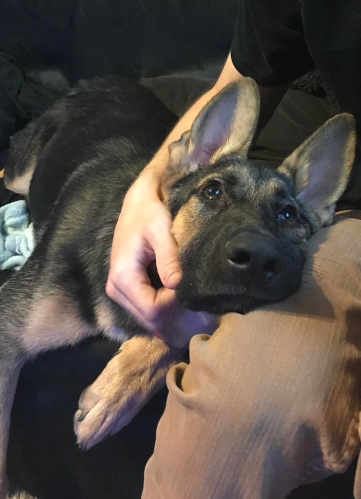 d0883e57b3bc36ebf9b1aa1ed1