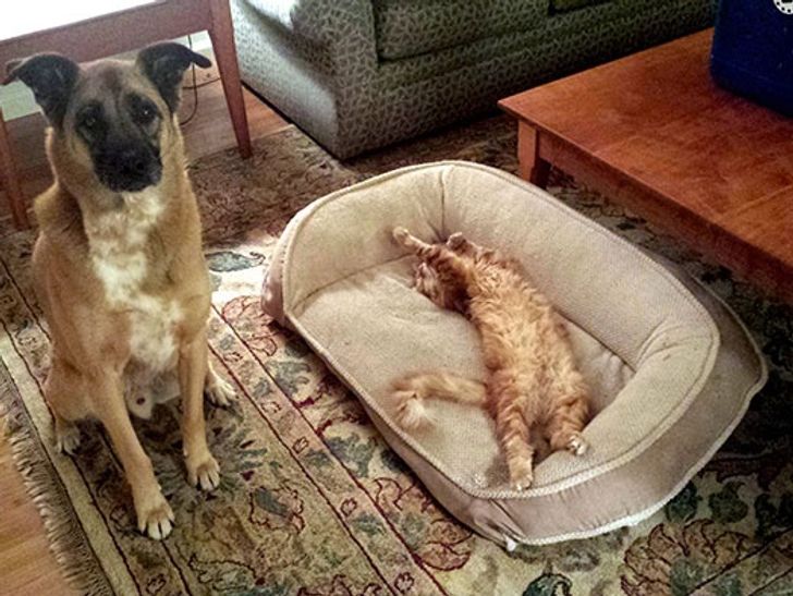 d089445a1ba87c36be4b2ae20e