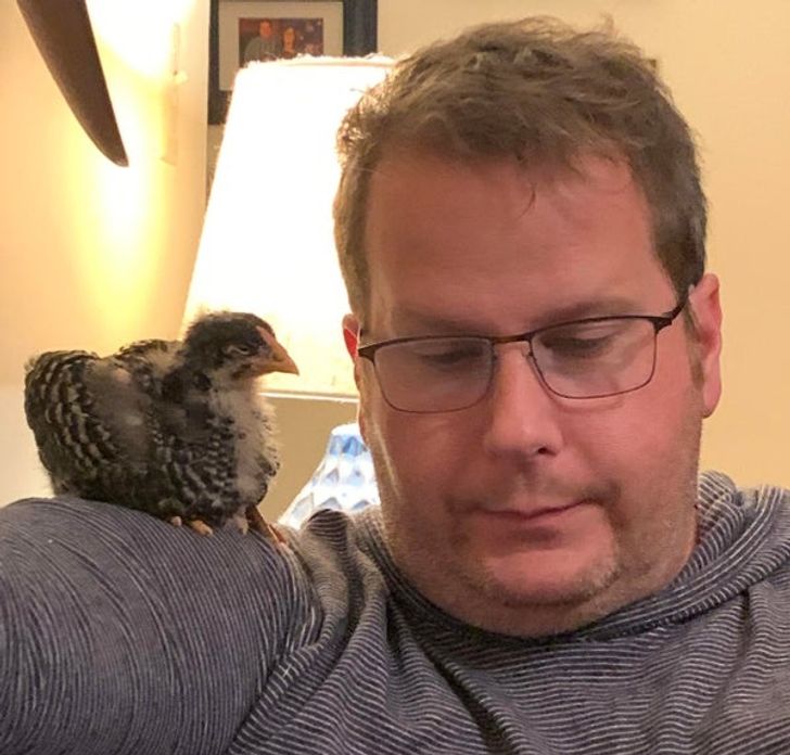 d092615da1bff6bcd901936246