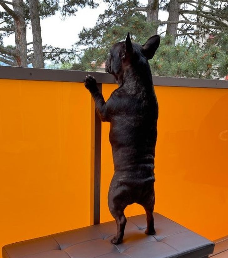 d099fc5d909ec9e35bb7254ab8