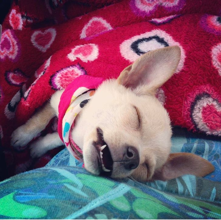 d09dac5f55abeea22262fcf193