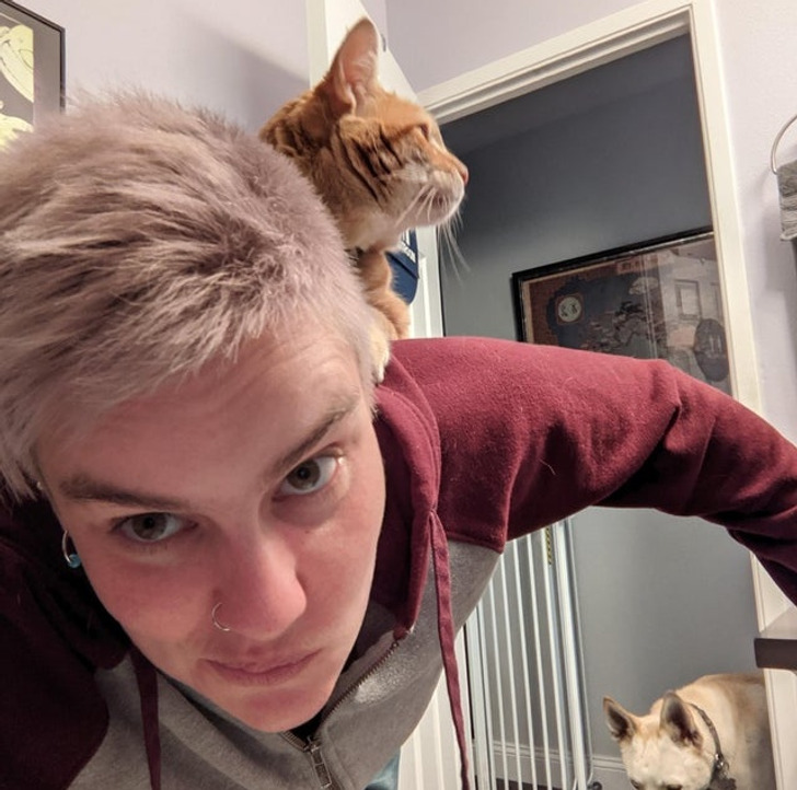 d09e9057a395ae176218de2284 d09e9057a395ae176218de2284