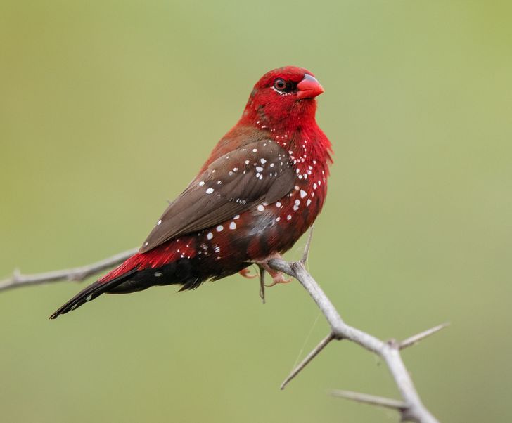 d0a0bb5892b04e5c4d562c028a