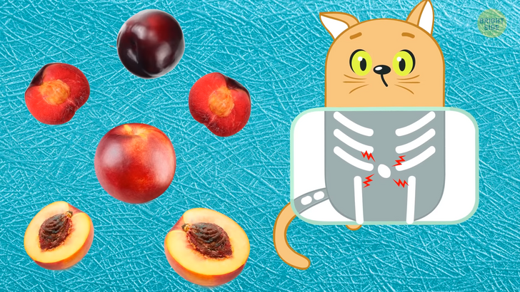 d0a3bc5c28a8a786d2a96c49bd