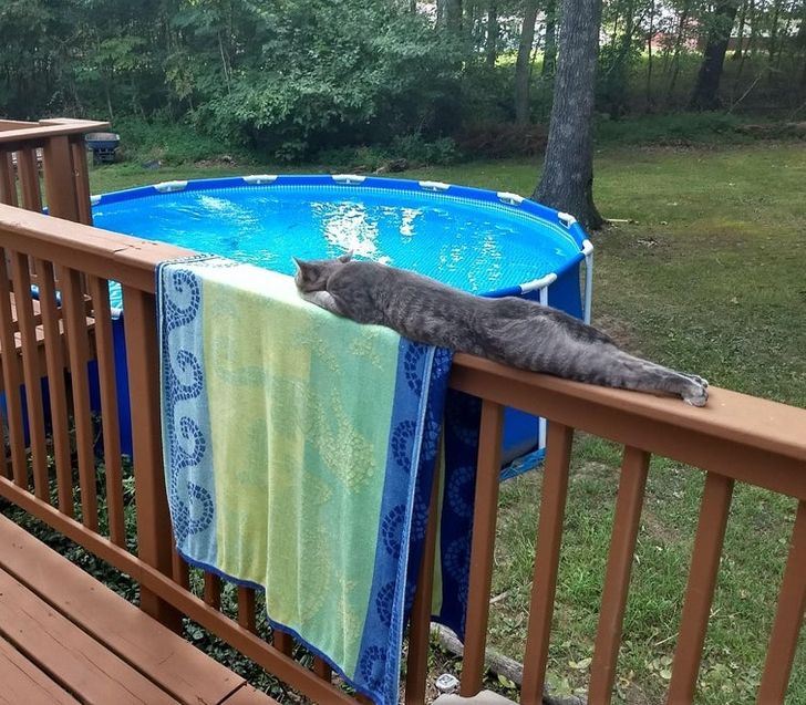 d0a841590ea841ec4c0acde2e2