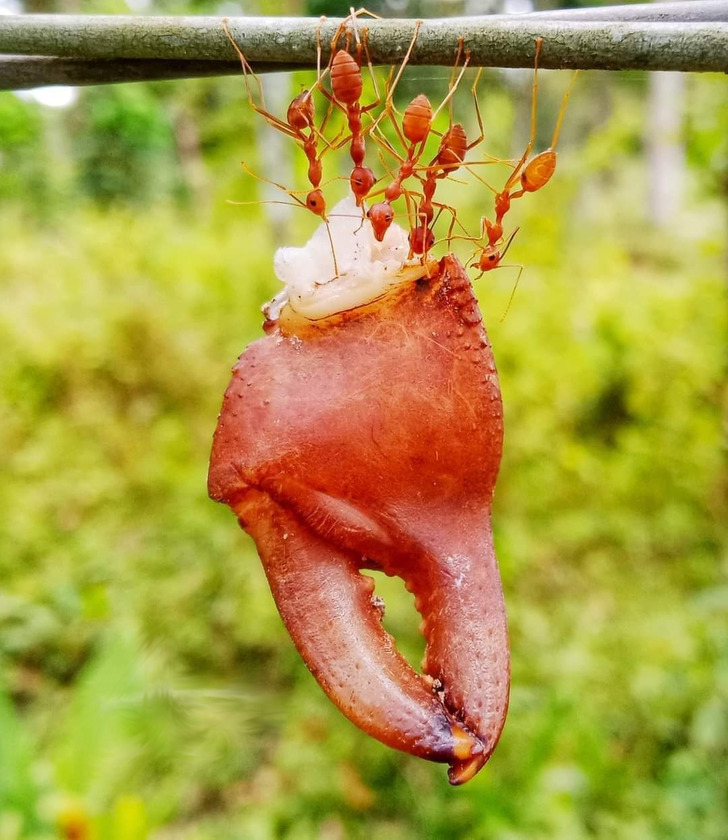 d0ad125473a0734db0ea9b4e49