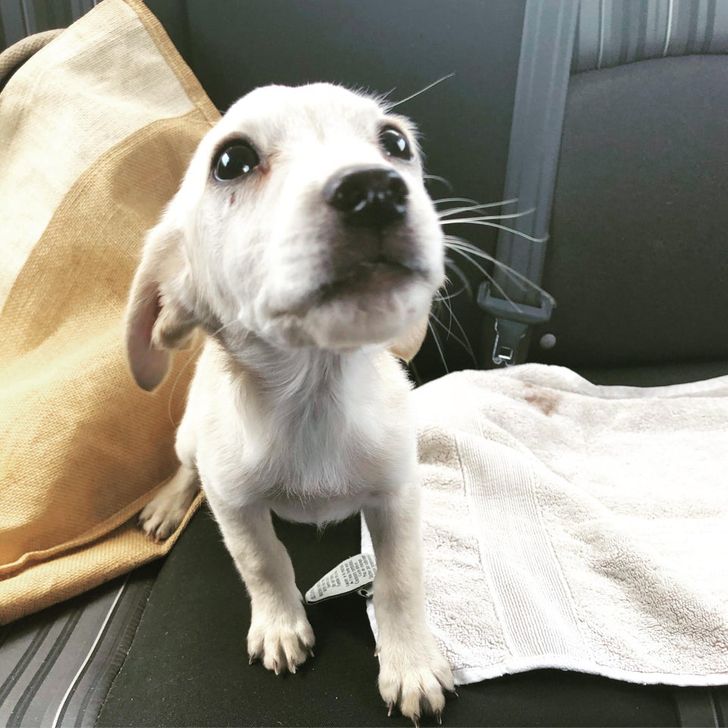 d0bab051d7bd7dc8e78d04c88b