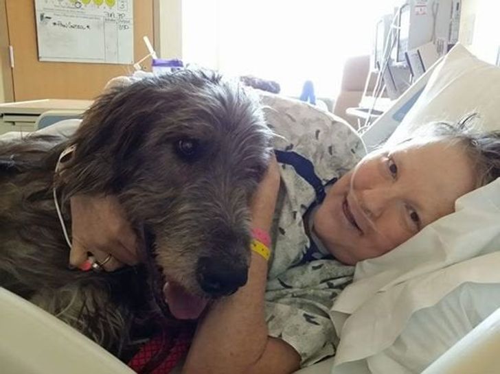 d0c13b5e72842000f18b3a788a d0c13b5e72842000f18b3a788a