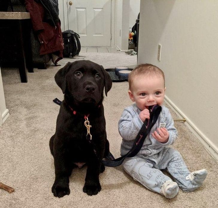 d0c42d558197548c7ef2064345