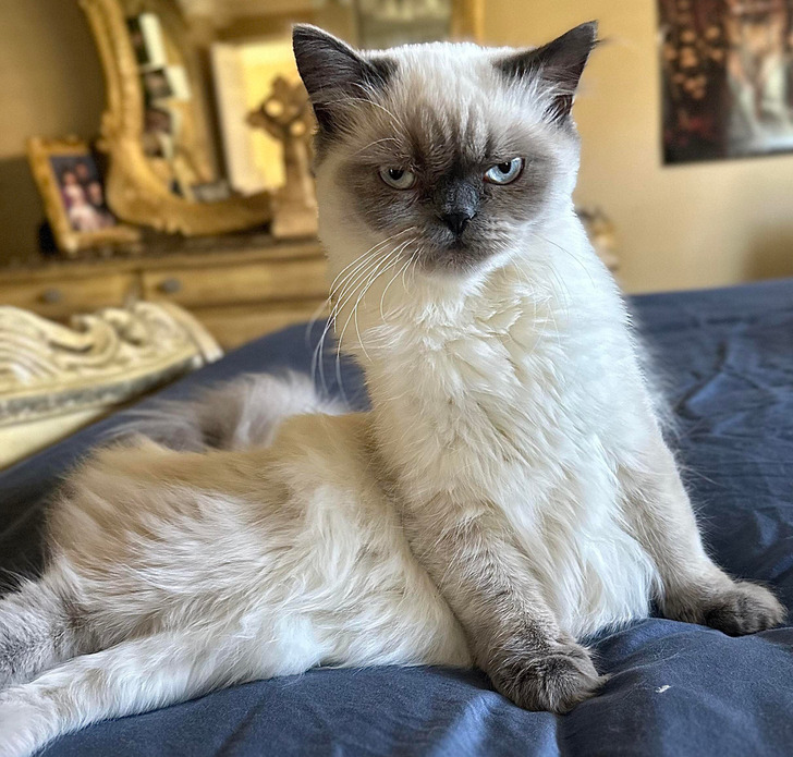 d0ce6a58e19002fa13ed44ab72 d0ce6a58e19002fa13ed44ab72