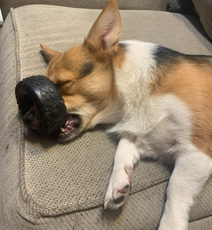 d0ce8f55baaf78f96c66714044