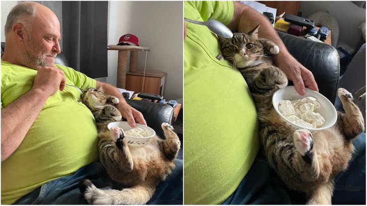 d0dfee512081cb82c63d861037