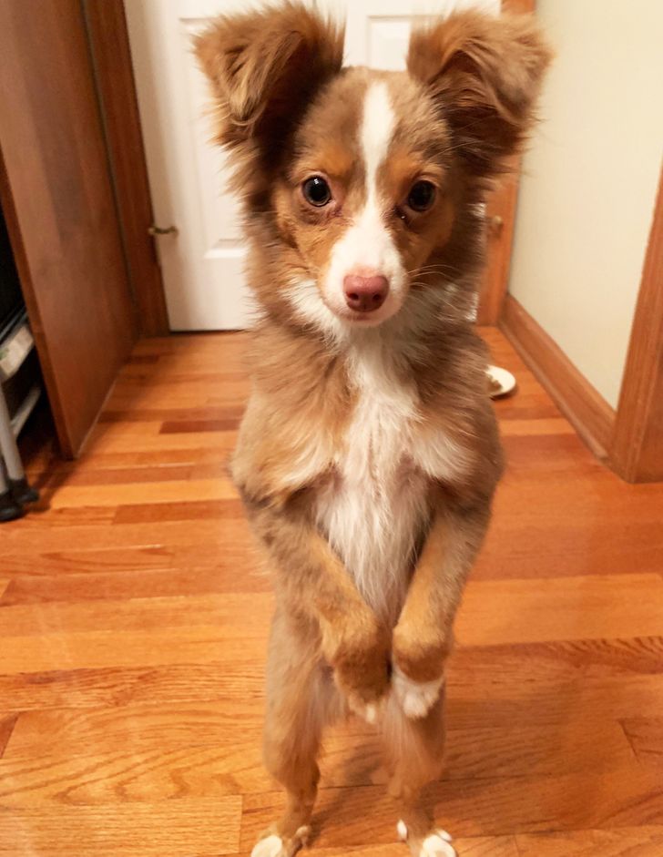 d0e0ce5572a129b9999bad93b5