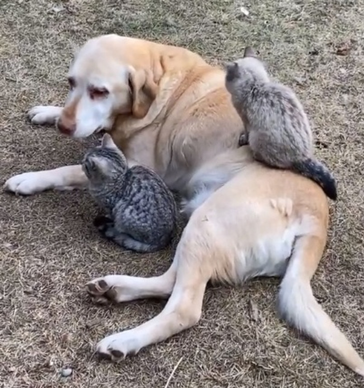 d0e0d35084a9f06e4344bcd91e