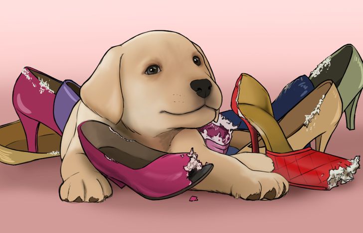 d0e37a52bbbac761203091d752