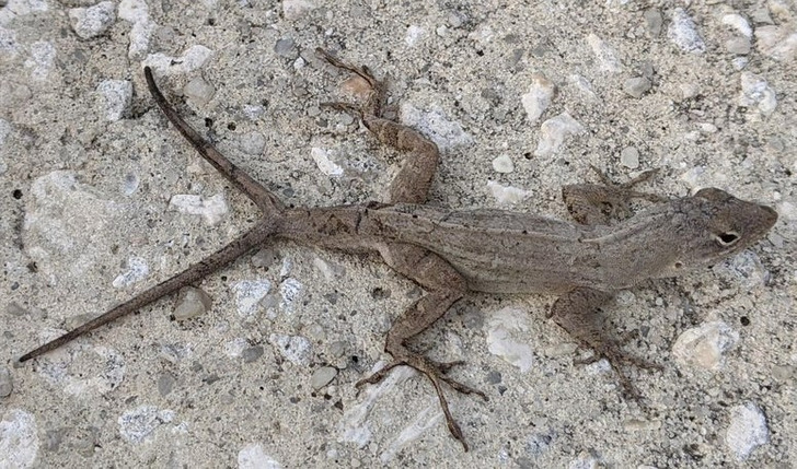 d0e38f5a289bac038e946e4130