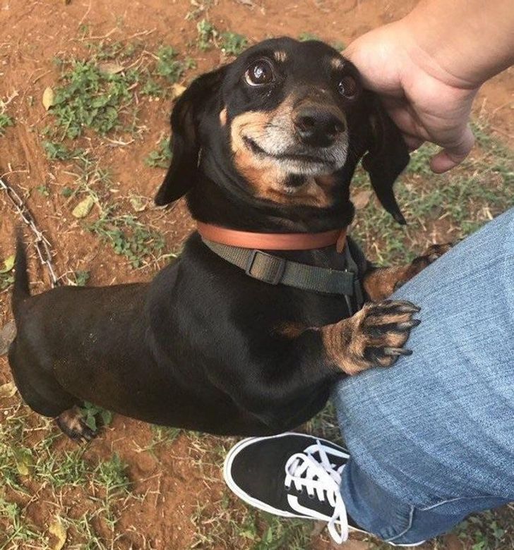 d0ea6253849e331d6fe2f90dff