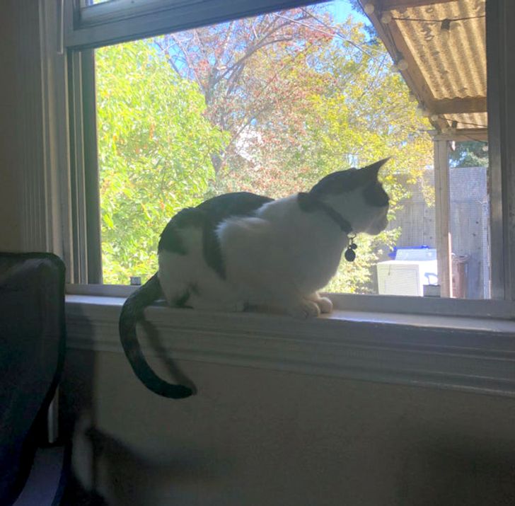 d0ee145046b39cab6f29e17e27