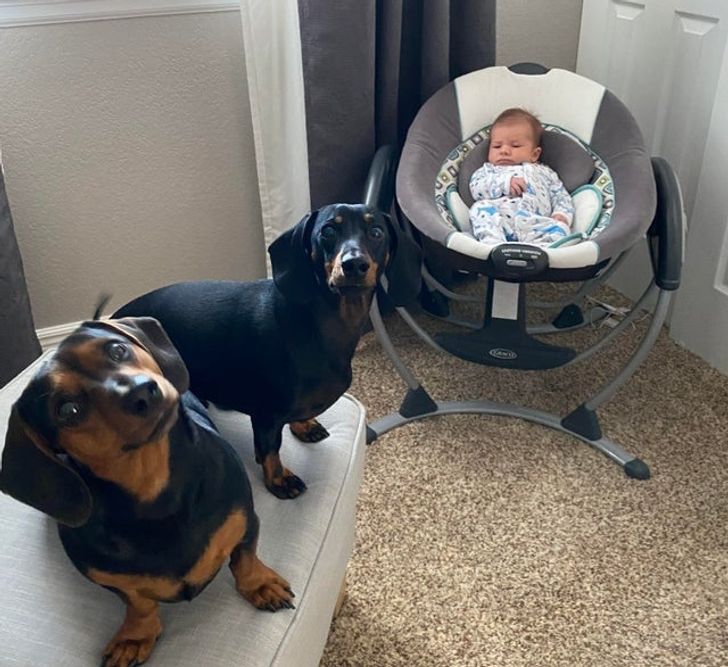 d0fd3e523d97c1022af5362297