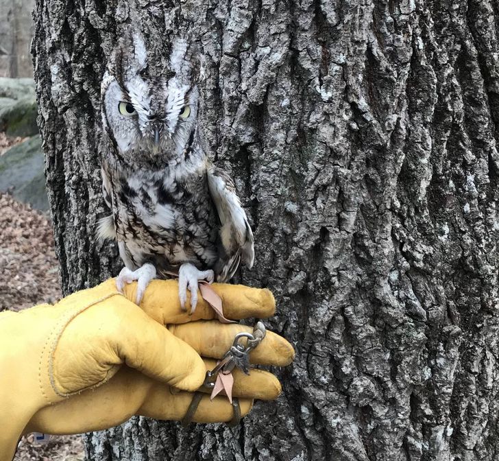 d104d15f6dabd0e855a8a30013