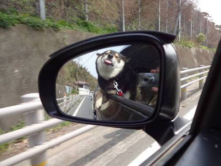 d10c9058ffad15a8374dad5736