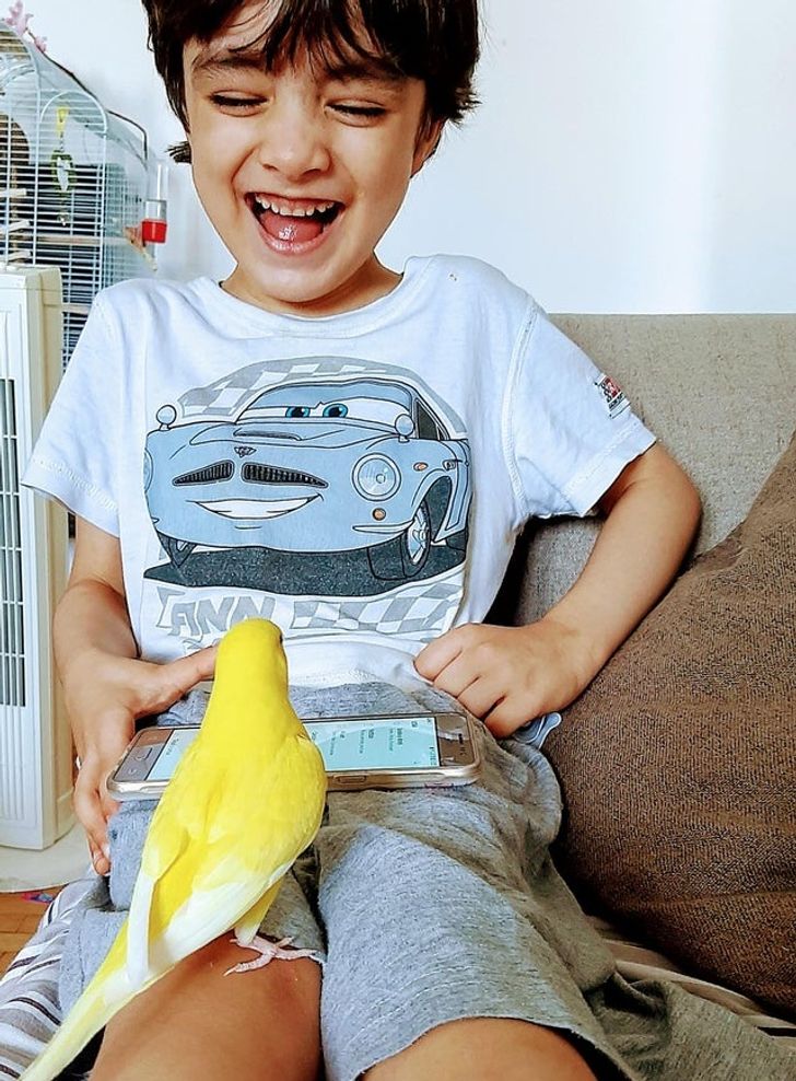 d1153f5e0183d0adb8ff6d2896