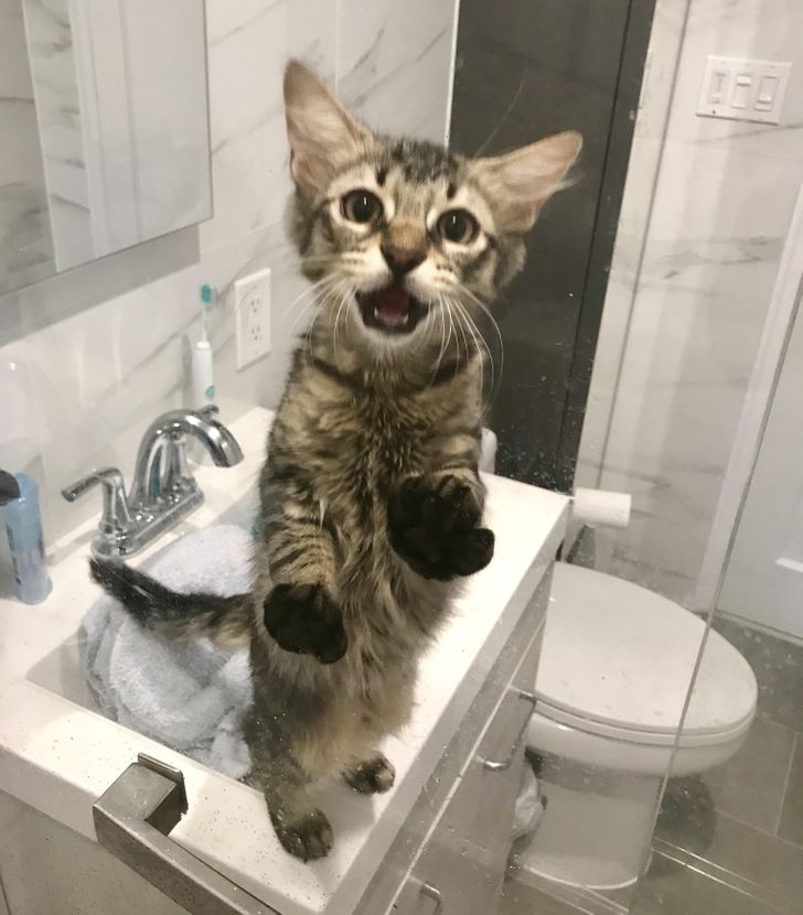 d11584559db82d627744ef2b75