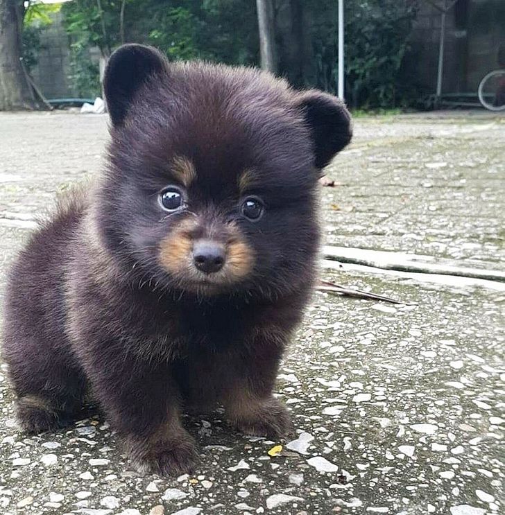 d116d75f54aa8dbde090de9b87