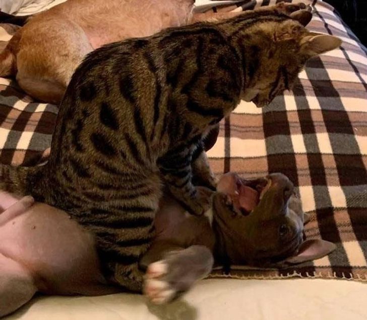 d11a1054fc975bc46579366216