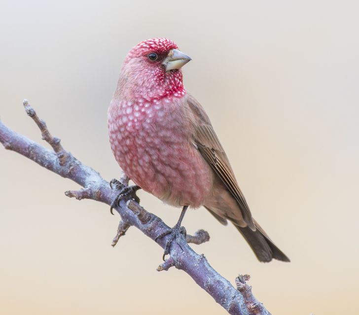 d11cdb59a2bae6c3c9f939b44d