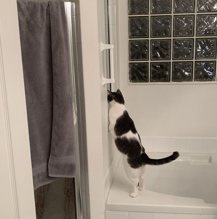 d11d18501eb1930605968a5f1b d11d18501eb1930605968a5f1b