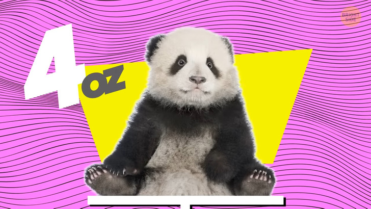 d127595812830f790ce01fc8b3