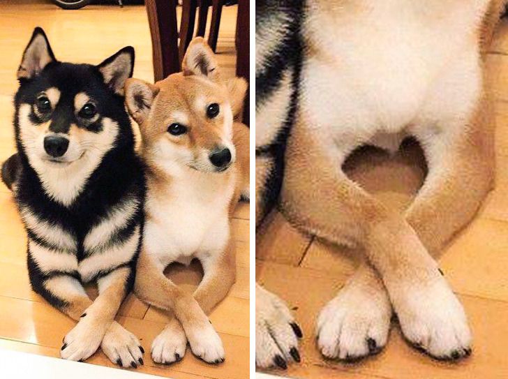 d127f65fb3850776200a9d2113