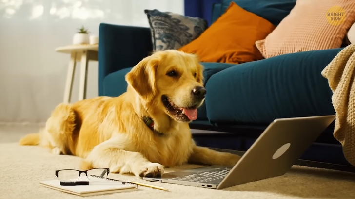 d1289553f1bd6dfe33f805e598