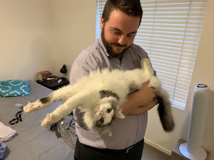 d13ca056f18c1ba60243598ecc