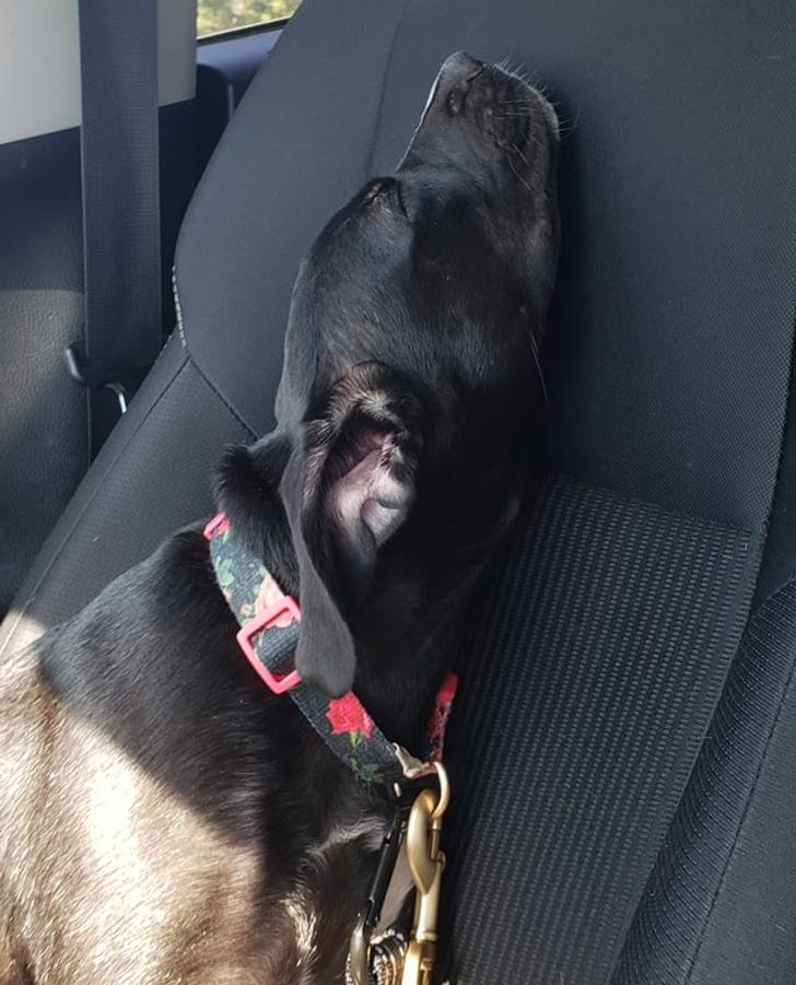 d145f15988b018bca53f7bc997