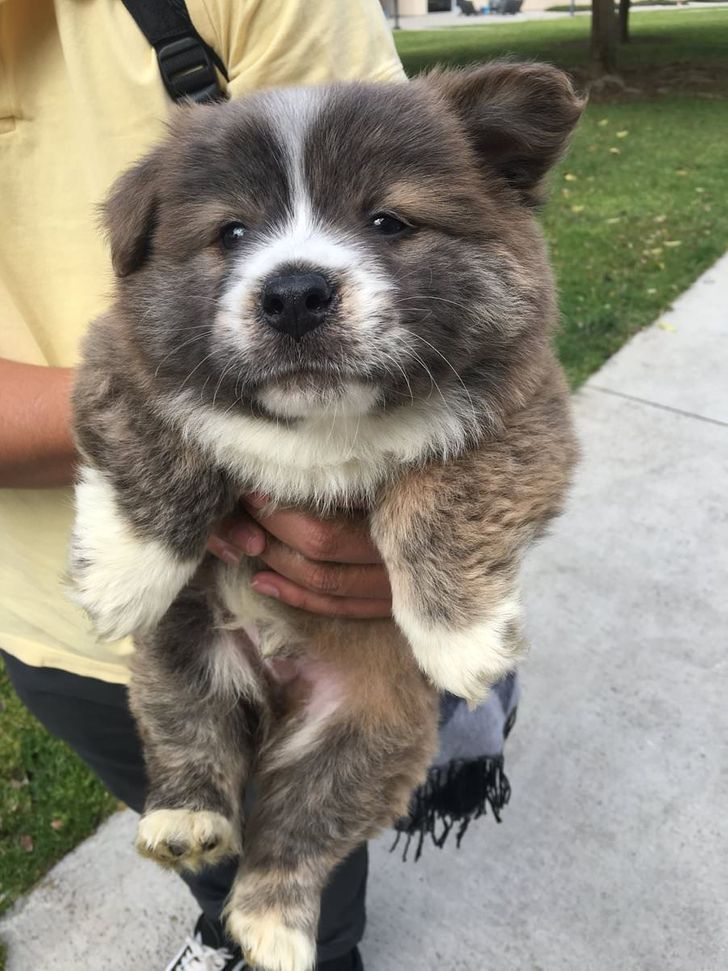 d154875e84b6f8fd715a4a1ef6