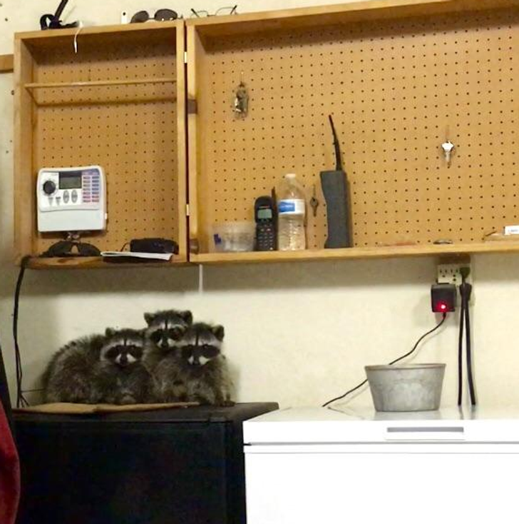 d154df585e9f50fe7a537ba1e1