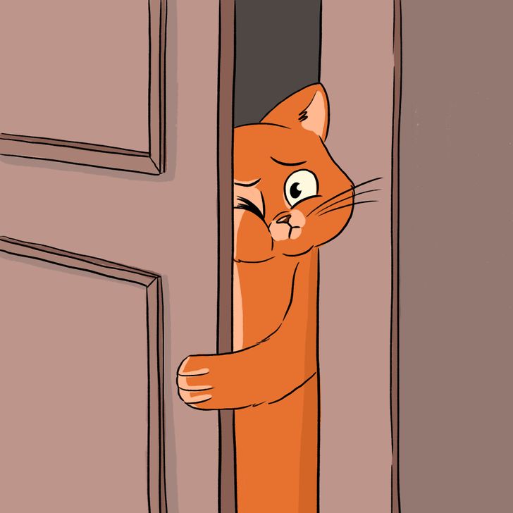 d158ac556ea79dfb2fe1b51887