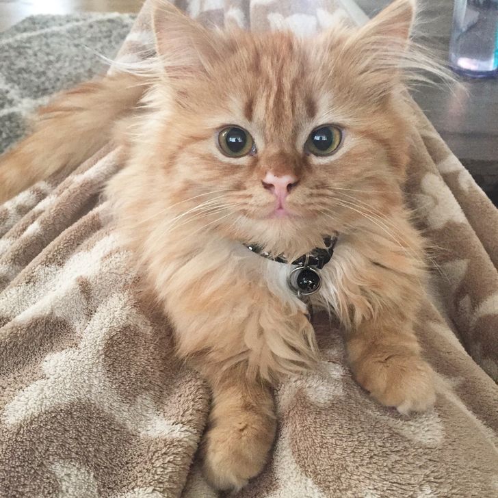 d159845ab4ae2c645ee6f944cb