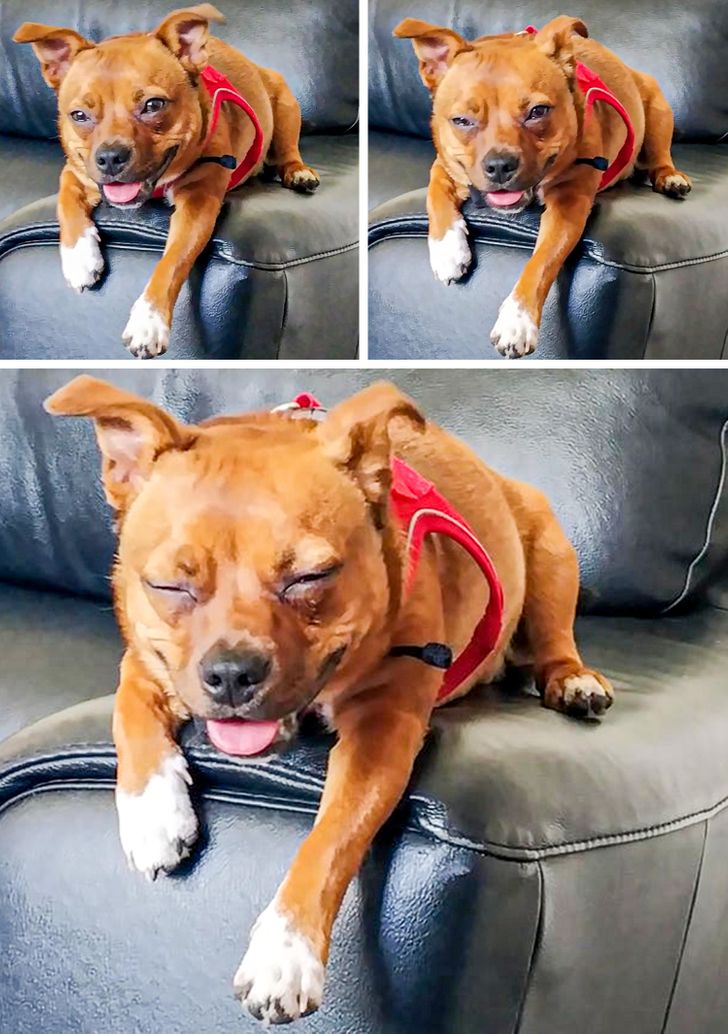 d15b8e5e5da0c62c14c1abe4c9