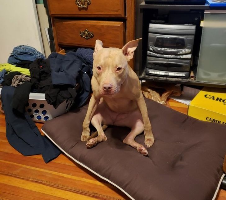 d15c695354aa16a0f553b41d22