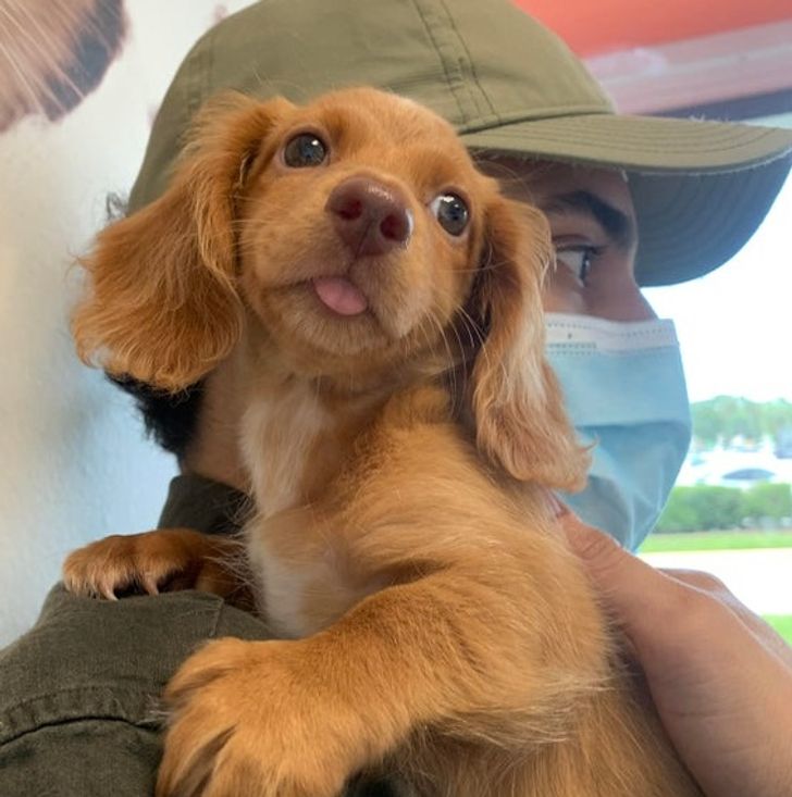 d165d3569f8b1a5dc4ef932caf