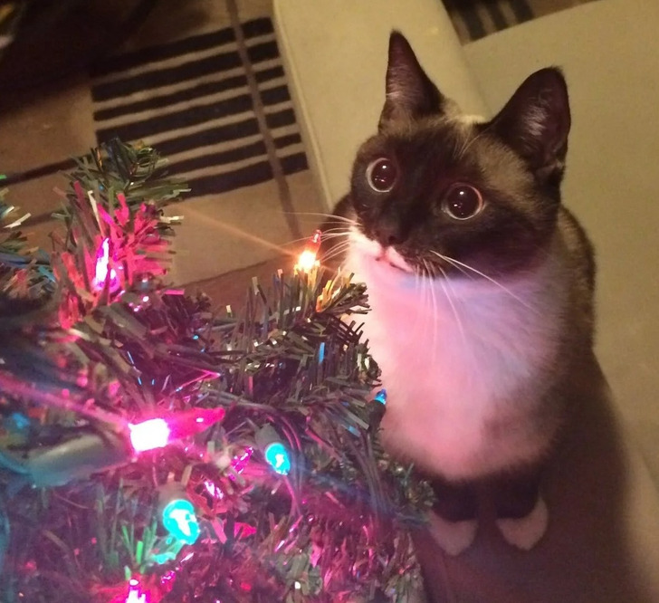 d168c056b2b0be41315c164d26