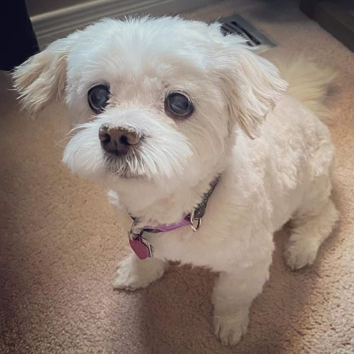 d16e5c5ff7af157e40d58cb436