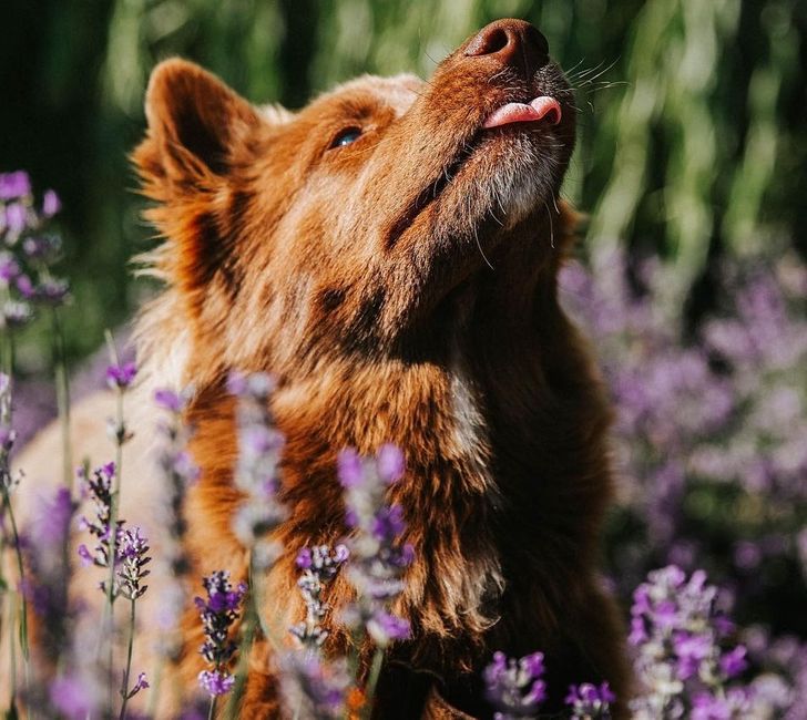 d17054501faff738dde56964fe